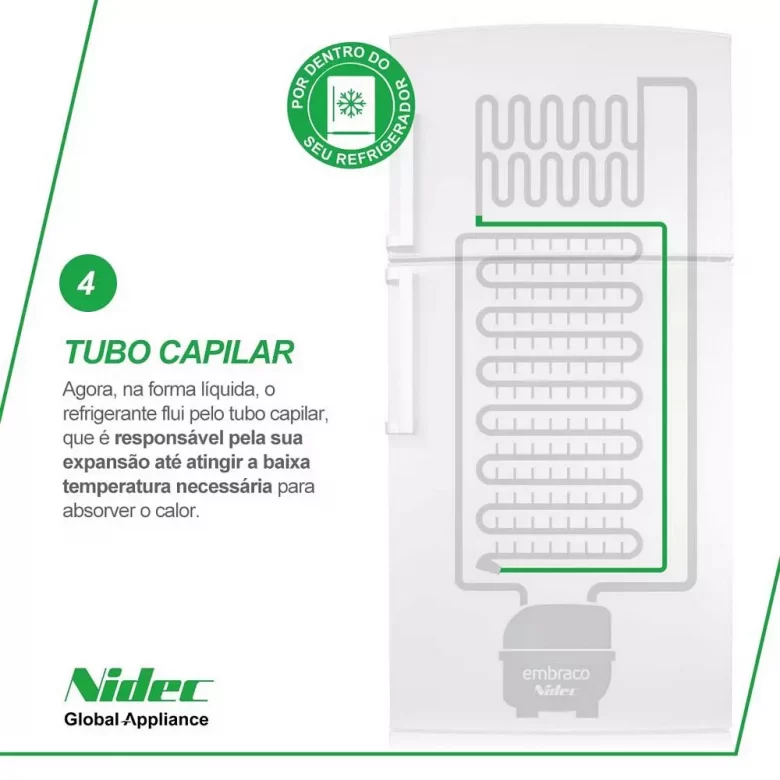 Post 4: the capillary tube highlighted in green