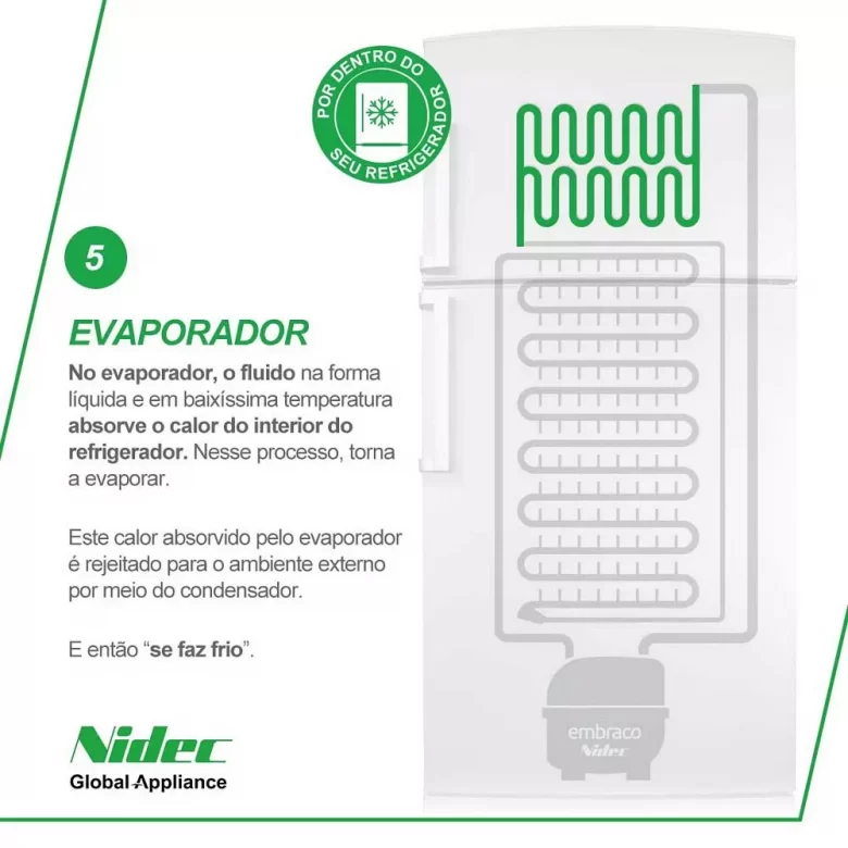 Post 5: the evaporator highlighted in green at the top of the fridge
