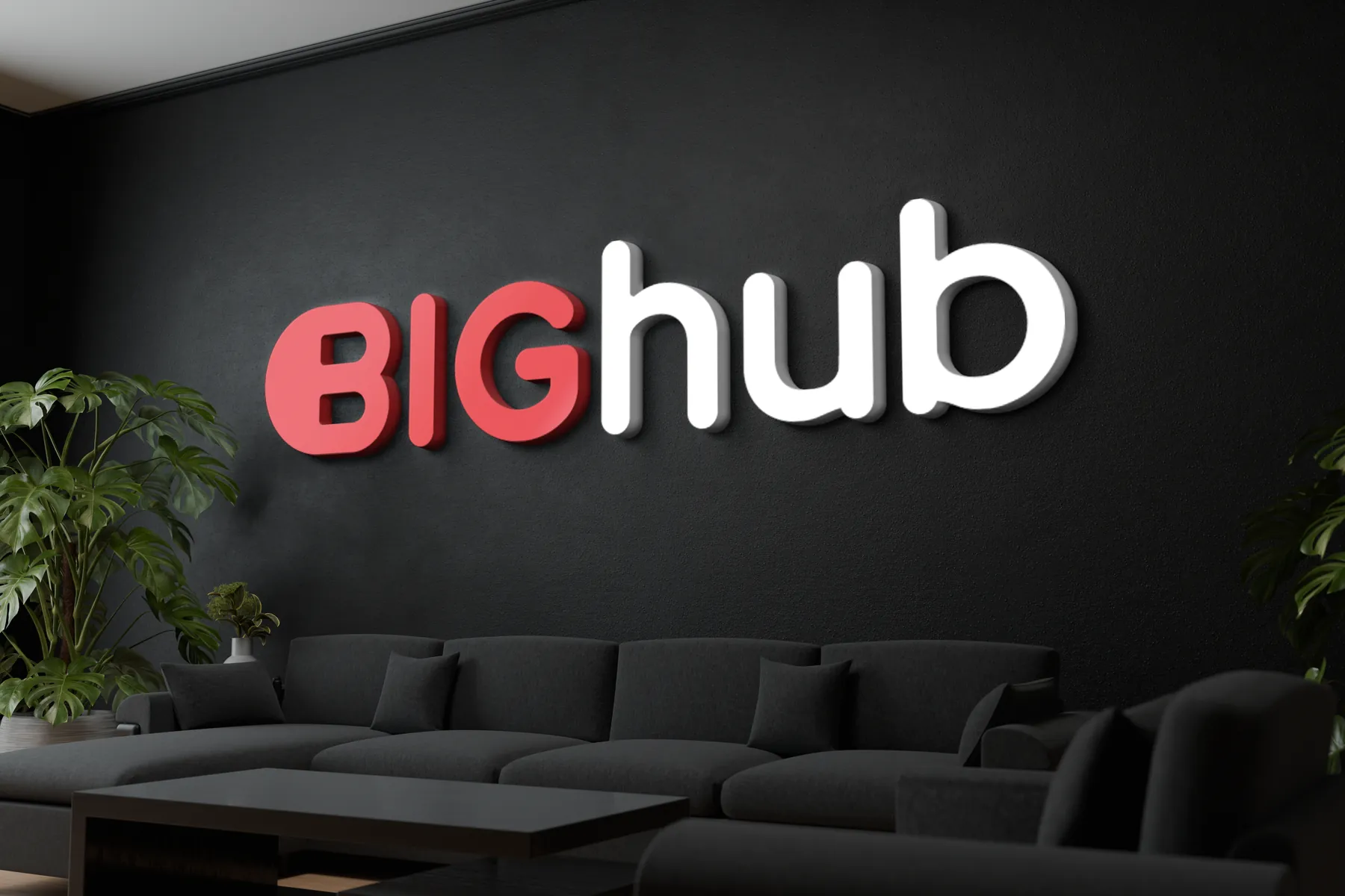BIGhub 3D logo on the office wall