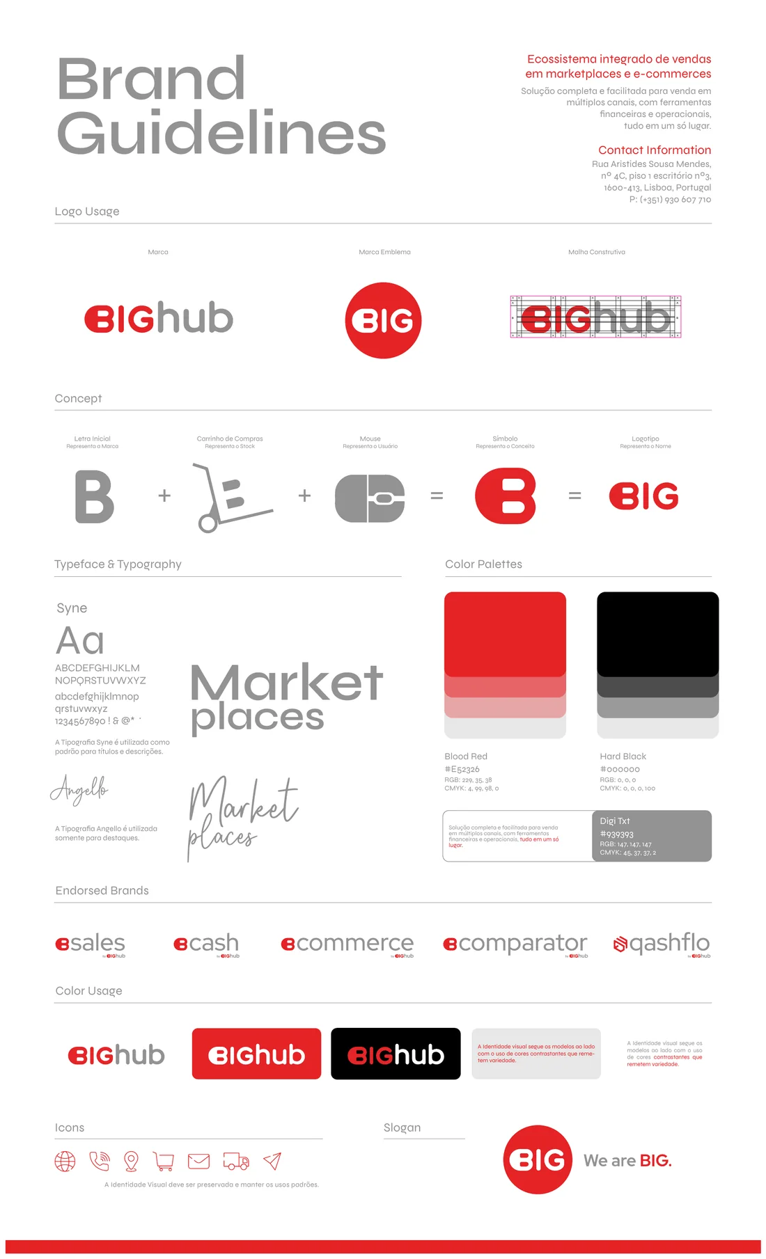 BIGhub Brand Guidelines: logo usage, concept, typography, colour palettes, endorsed brands, icons and slogan