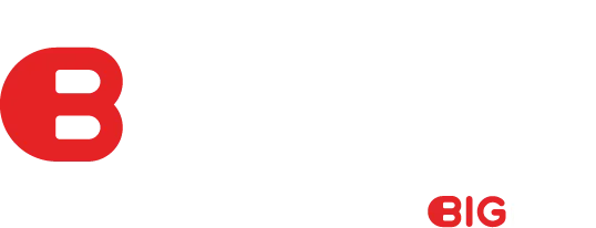 BIGcash logo
