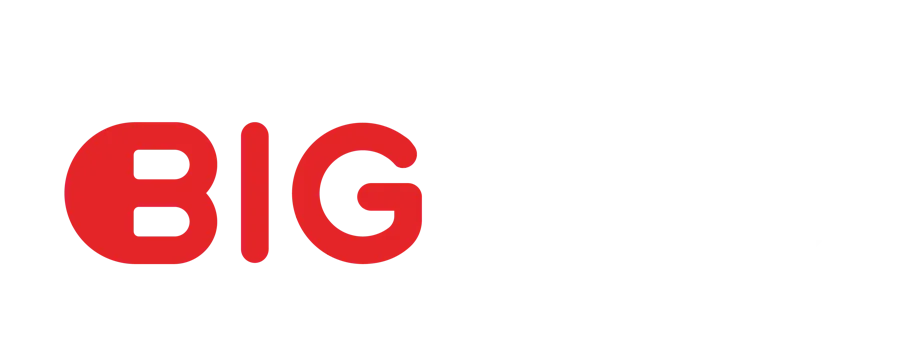 BIGhub logo
