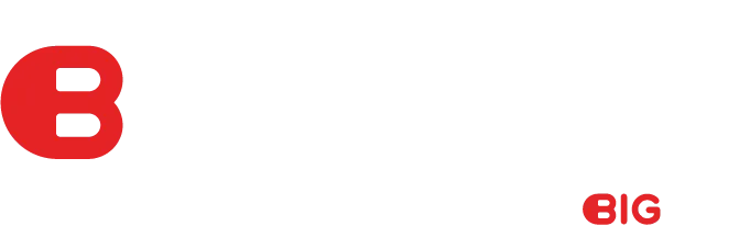 BIGkoncili logo