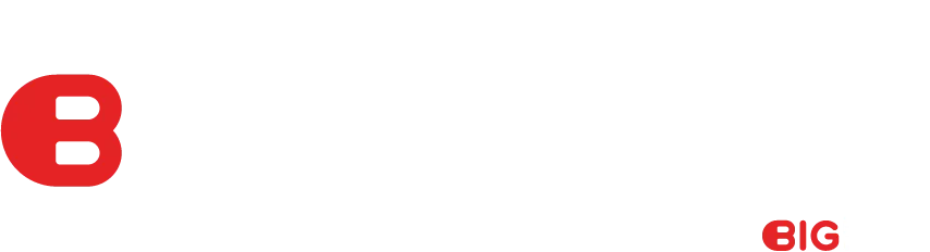 BIGlogistics logo
