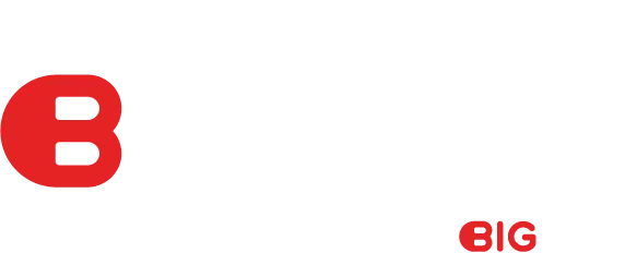 BIGsales logo
