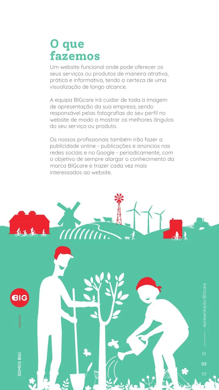 BIGcare slide: what we do