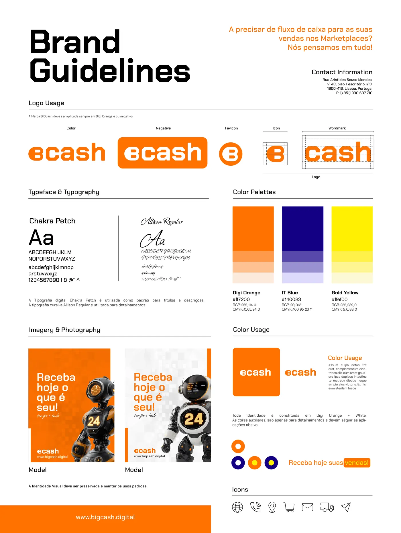 BIGcash brand guidelines sheet