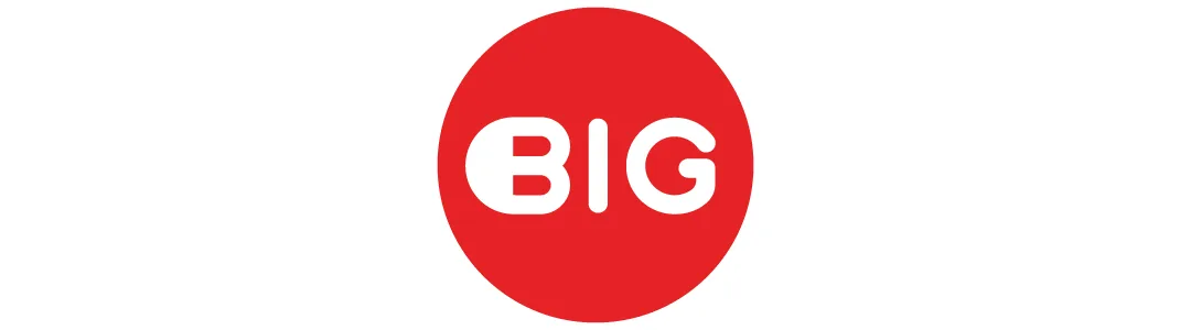 BIG logo