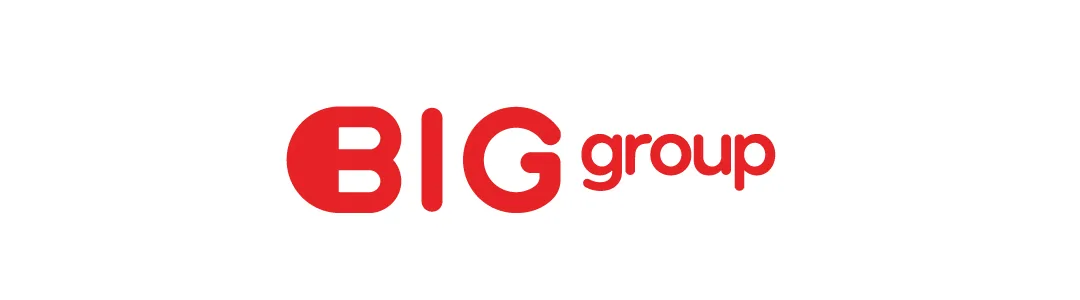 BIGgroup logo