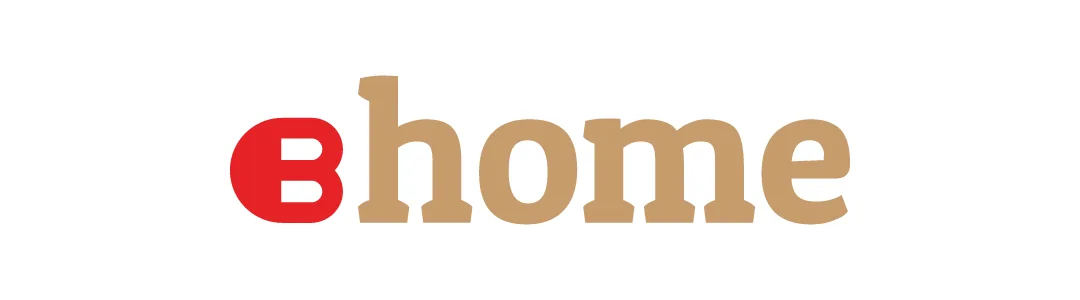 BIGhome logo