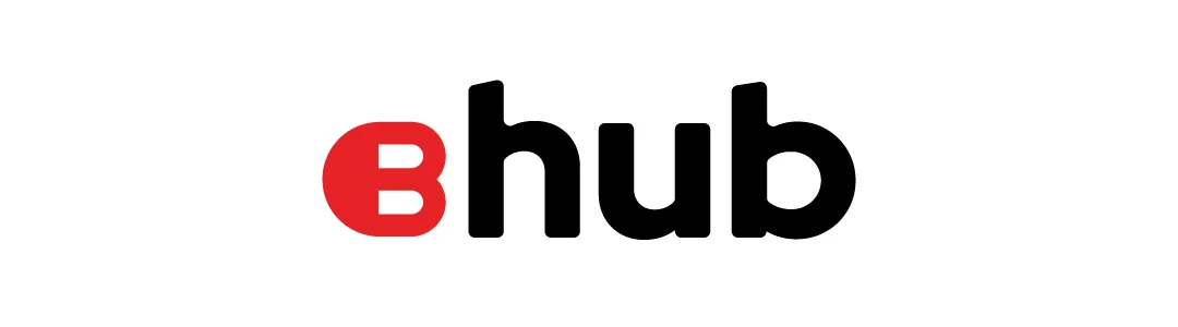 BIGhub logo