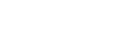 BIGcare logo
