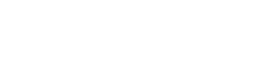 BIGcash logo