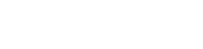 BIGdelivery logo