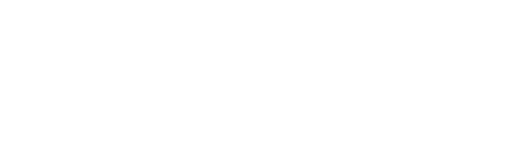 BIGhub logo