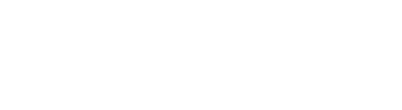 BIGsales logo